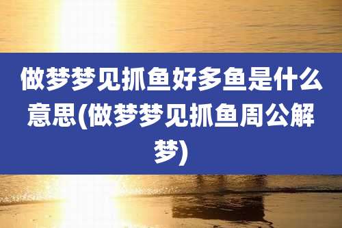 做梦梦见抓鱼好多鱼是什么意思(做梦梦见抓鱼周公解梦)