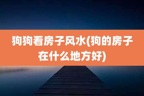 狗狗看房子风水(狗的房子在什么地方好)