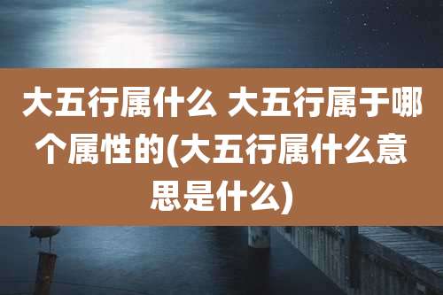 大五行属什么 大五行属于哪个属性的(大五行属什么意思是什么)
