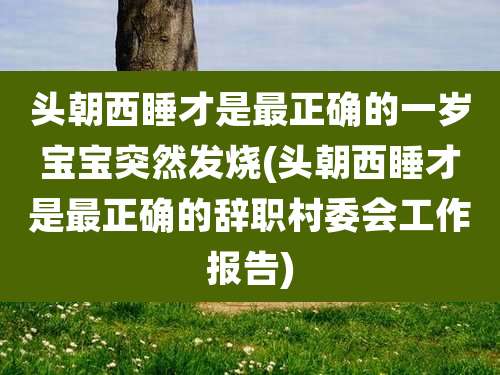 头朝西睡才是最正确的一岁宝宝突然发烧(头朝西睡才是最正确的辞职村委会工作报告)
