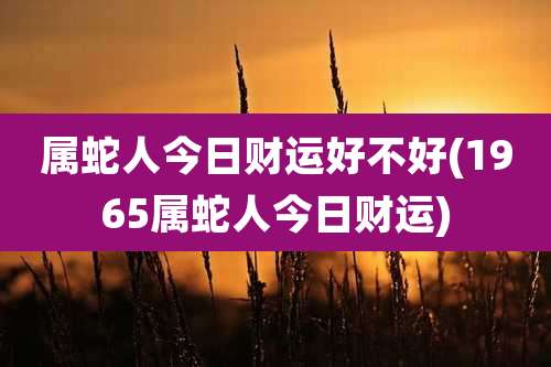 属蛇人今日财运好不好(1965属蛇人今日财运)