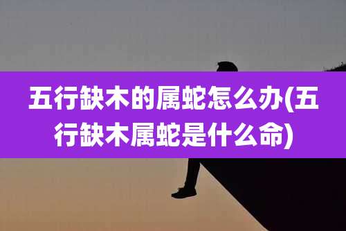 五行缺木的属蛇怎么办(五行缺木属蛇是什么命)