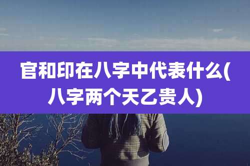 官和印在八字中代表什么(八字两个天乙贵人)