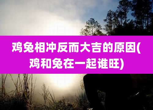 鸡兔相冲反而大吉的原因(鸡和兔在一起谁旺)