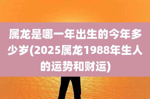 属龙是哪一年出生的今年多少岁(2025属龙1988年生人的运势和财运)