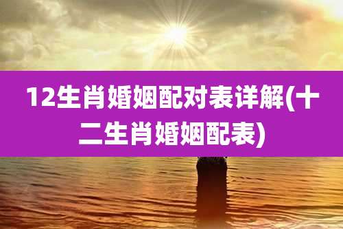 12生肖婚姻配对表详解(十二生肖婚姻配表)