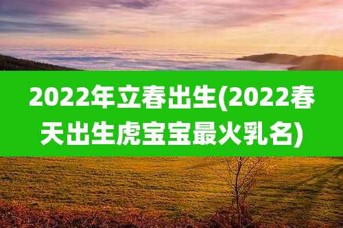 2022年立春出生(2022春天出生虎宝宝最火乳名)
