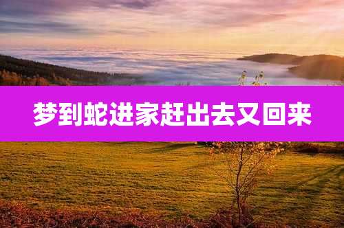 梦到蛇进家赶出去又回来