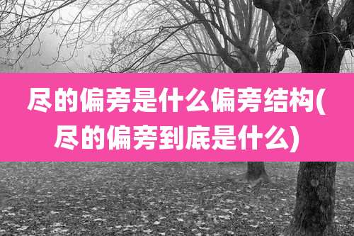 尽的偏旁是什么偏旁结构(尽的偏旁到底是什么)