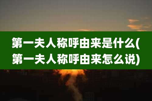 第一夫人称呼由来是什么(第一夫人称呼由来怎么说)