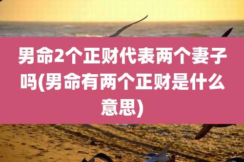 男命2个正财代表两个妻子吗(男命有两个正财是什么意思)