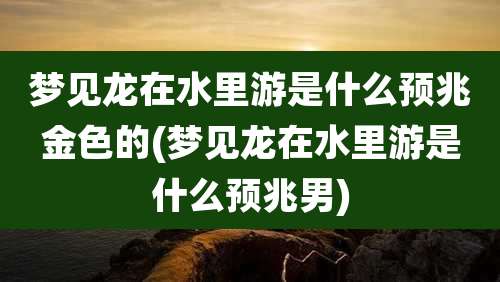 梦见龙在水里游是什么预兆金色的(梦见龙在水里游是什么预兆男)