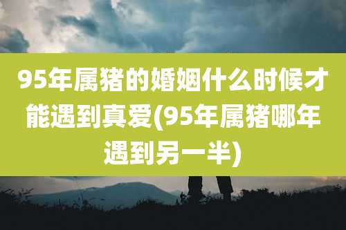 95年属猪的婚姻什么时候才能遇到真爱(95年属猪哪年遇到另一半)