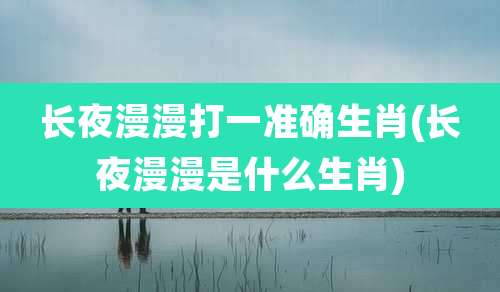 长夜漫漫打一准确生肖(长夜漫漫是什么生肖)