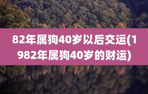 82年属狗40岁以后交运(1982年属狗40岁的财运)