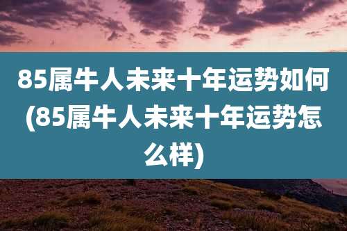 85属牛人未来十年运势如何(85属牛人未来十年运势怎么样)