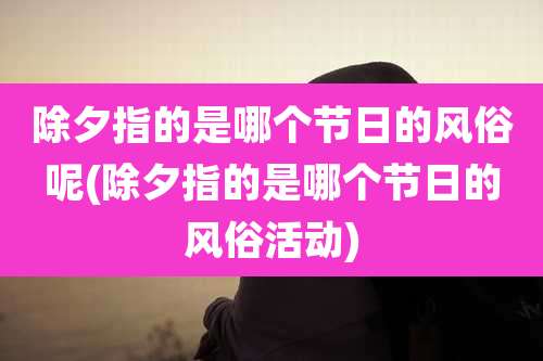 除夕指的是哪个节日的风俗呢(除夕指的是哪个节日的风俗活动)