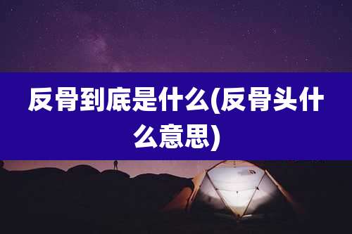 反骨到底是什么(反骨头什么意思)