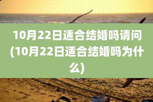10月22日适合结婚吗请问(10月22日适合结婚吗为什么)