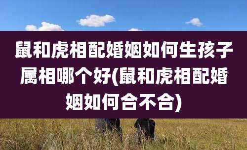 鼠和虎相配婚姻如何生孩子属相哪个好(鼠和虎相配婚姻如何合不合)