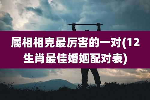 属相相克最厉害的一对(12生肖最佳婚姻配对表)