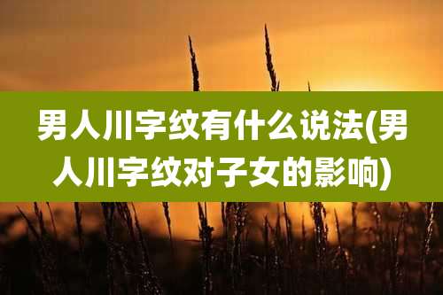 男人川字纹有什么说法(男人川字纹对子女的影响)