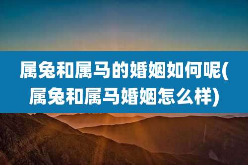 属兔和属马的婚姻如何呢(属兔和属马婚姻怎么样)
