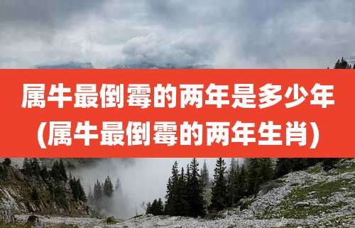 属牛最倒霉的两年是多少年(属牛最倒霉的两年生肖)