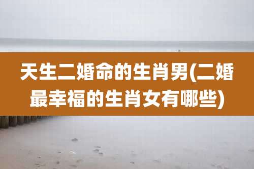 天生二婚命的生肖男(二婚最幸福的生肖女有哪些)