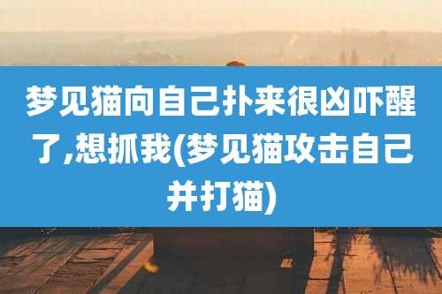梦见猫向自己扑来很凶吓醒了,想抓我(梦见猫攻击自己并打猫)