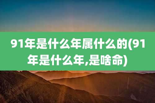 91年是什么年属什么的(91年是什么年,是啥命)