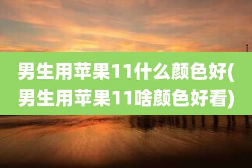 男生用苹果11什么颜色好(男生用苹果11啥颜色好看)
