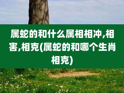 属蛇的和什么属相相冲,相害,相克(属蛇的和哪个生肖相克)