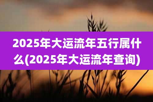 2025年大运流年五行属什么(2025年大运流年查询)