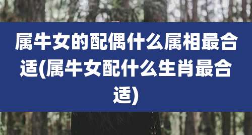 属牛女的配偶什么属相最合适(属牛女配什么生肖最合适)
