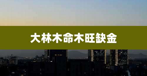 大林木命木旺缺金