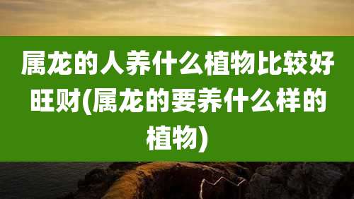 属龙的人养什么植物比较好旺财(属龙的要养什么样的植物)