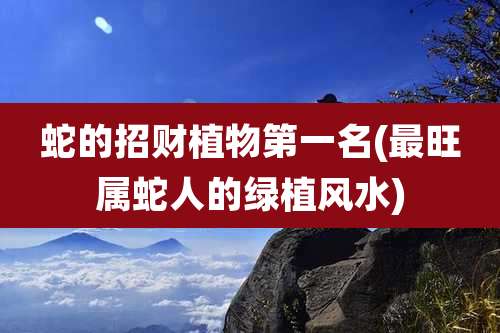 蛇的招财植物第一名(最旺属蛇人的绿植风水)