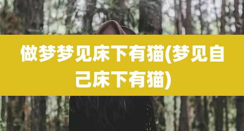 做梦梦见床下有猫(梦见自己床下有猫)