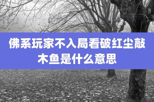 佛系玩家不入局看破红尘敲木鱼是什么意思