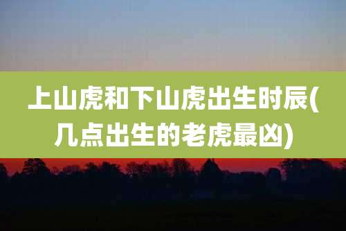上山虎和下山虎出生时辰(几点出生的老虎最凶)