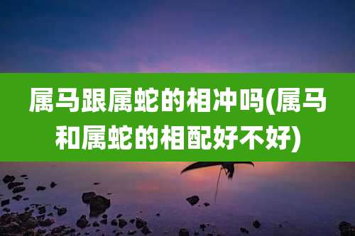 属马跟属蛇的相冲吗(属马和属蛇的相配好不好)