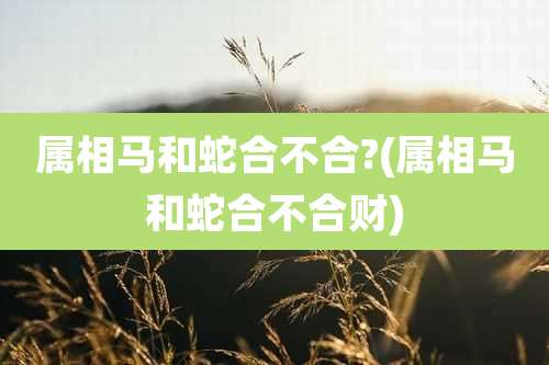 属相马和蛇合不合?(属相马和蛇合不合财)