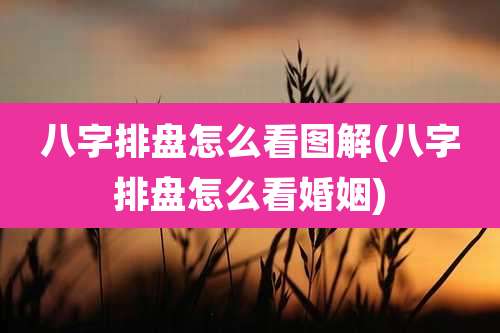 八字排盘怎么看图解(八字排盘怎么看婚姻)