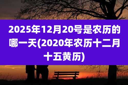 2025年12月20号是农历的哪一天(2020年农历十二月十五黄历)