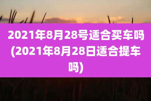2021年8月28号适合买车吗(2021年8月28日适合提车吗)