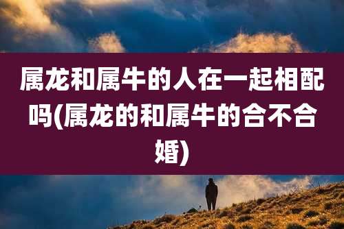 属龙和属牛的人在一起相配吗(属龙的和属牛的合不合婚)