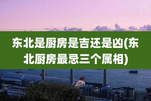 东北是厨房是吉还是凶(东北厨房最忌三个属相)