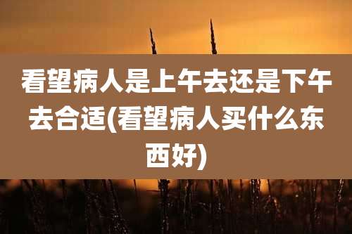 看望病人是上午去还是下午去合适(看望病人买什么东西好)