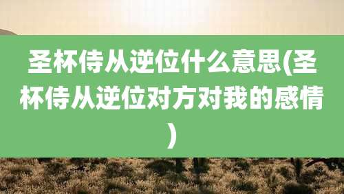 圣杯侍从逆位什么意思(圣杯侍从逆位对方对我的感情)